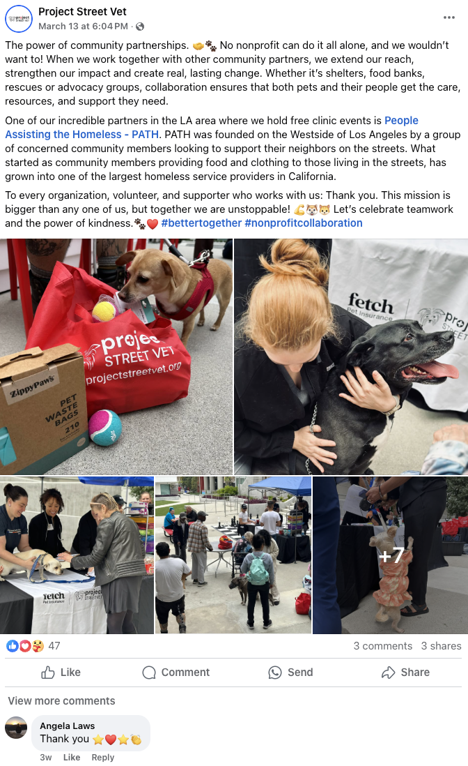 Project street vet post